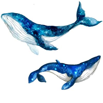 38"W Large Blue Whale Wall Decals - Peel & Stick for Kids Bedroom Decor