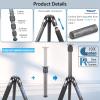 Compact Carbon Fiber Tripod with 35mm Low Profile Ball Head Kit 10-Layer Carbon Travel Camera Stand Detachable Monopod with Magic Arm+ Phone Clip Max Load 15kg view 3