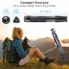 Compact Carbon Fiber Tripod with 35mm Low Profile Ball Head Kit 10-Layer Carbon Travel Camera Stand Detachable Monopod with Magic Arm+ Phone Clip Max Load 15kg view 4