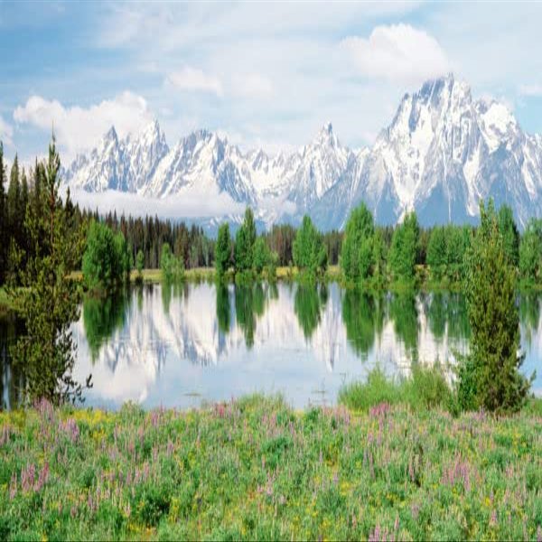 BIGGIES-Window Well Scene-Mountain Flower 70" X 60"