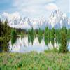 BIGGIES-Window Well Scene-Mountain Flower 70" X 60" view 1