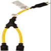 Cordset, Y-Splitter 2Ft of 12/3 STW Cable, Pri: 5-15P & Sec: (2) 5-15C view 1