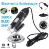Microscope Accessories Kit 0-1600X 2MP 3 in 1 USB Type C LED Adjustable Microscope Handheld Portable Digital Microscope Microscope Slides (Magnification : 1000X) view 4
