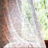 Lunarable Parrots Tulle Curtains with Rod Pocket, Doodle Style Monochrome Cartoon Birds and Hearts Dotted Pattern Love Nature Theme, Sheer Drape for Wedding Party 2 Panels, 108" x 63", Beige Black view 4