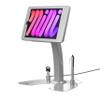 Dual Security POS iPad Kiosk Desk Stand  CTA Secure Retail iPad Desk Stand with Steel Cable Lock for iPad mini 6 & iPad mini 7, Restaurant, Retail, Stores & More - Silver (PAD-ASKM6) view 1