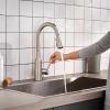 Moen Incorporated Zyla PD KIT FCT SS view 4