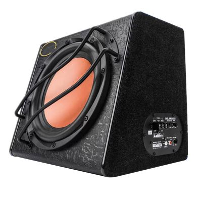10-Inch Dual-Speaker Subwoofer, 12V High-Power Modified Car Subwoofer, Super Bass Trunk Dedicated Audio, Strong Versatility and Suitable for 99% of Models.