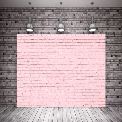10x10ft Princess Pink Brick Wall Photography Backdrops Birthday Party Baby Show Bridal Show Photo Background for Studio Children Backdrop for Picture