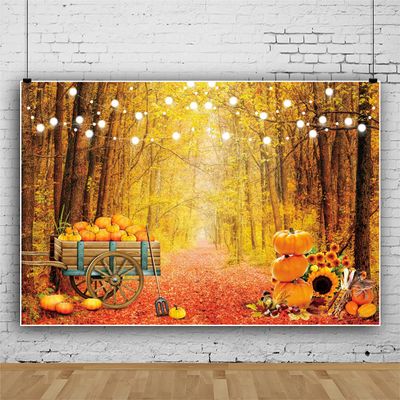 10x8ft Fall Forest Scenery Photography Backdrop Autumn Maple Leaves Pumpkin Sunflower Friendsgiving Background Autumn Thanksgiving Natural Scenery Landscape Leaves Festival Party Decor Banner