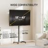 AM alphamount TV Floor Stand for 13-43 inch Flat/Curved TVs up to 44 lbs, 8 Level Height Adjustable Monitor Floor TV Stand with VESA 200x200, Portable TV Mount Stand for Living Room, Bedroom, Office view 2