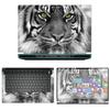 Decalrus - Protective Decal Sticker for The Alienware M15 R7 15 AWM15R7 (15.6" Screen) case Cover wrap AWm15r7-87 view 1