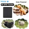 4G Solar Powered Pet GPS Tracker for Dog Cow Sheep IP67 Waterproof Tracking Collar Anti-Lost Removed Alarm Geo-Fence Locator view 2