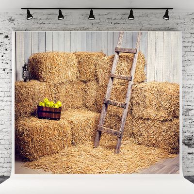 10x10ft Autumn Backdrop Grain Pile Straw Pile Halloween Photography Background Harvest Season Fall Baby Children Photo Backdrops Pictures