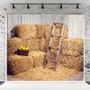 10x10ft Autumn Backdrop Grain Pile Straw Pile Halloween Photography Background Harvest Season Fall Baby Children Photo Backdrops Pictures view 1
