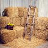 10x10ft Autumn Backdrop Grain Pile Straw Pile Halloween Photography Background Harvest Season Fall Baby Children Photo Backdrops Pictures view 2