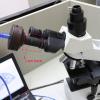 Lab Microscope Slides 0.5X C Mount Lens Adapter 23.2mm 30mm 30.5mm Camera Adapter Microscope Parts (Color : 23.2mm and 30mm) view 4