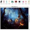10x6.5ft Pumpkin Light Photography Backdrops Branches Fabric Photo Studio Prop Background Castle Magic Old Tree Background for Halloween Party view 3