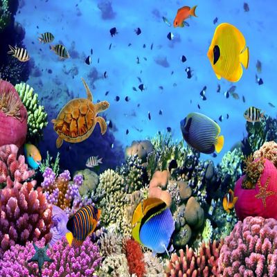 AOFOTO 12x10ft Underwater Ocean Coral Reef Backdrop Under The Sea Tropical Fish Sea Turtle Marine Life Photography Background Seabed World Nature Scene Aquarium Decor Kids Portrait Photo Shoot Props
