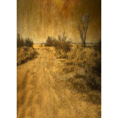 Vintage Oil Painting Scenery Photography Backdrops Children Portrait Background for Photo Studio Props Studio Props A34 9x6ft/2.7x1.8m