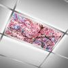 MSINMKOK 2ft x 4ft Fluorescent Light Covers Japanese Cherry Blossoms Pink Flower Light Filters-Easy Setup for Office,Hospitals,Home & Classrooms,Reduce Glare & Flicker (Set of 2) view 2