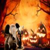 Kate 10x6.5ft Halloween Backdrop Horrible Pumpkins Moonnight Photography Backdrops for Children Misty Forest Background Photo Booth Props view 4