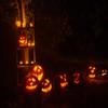 10x6.5ft Dark Night Pumpkin Light Halloween Backdrops for Photography Prop Fabric Photo Studio Background view 2