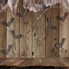 10x10ft Brown Wood Wall Spider Web Halloween Backdrop Bats Wooden Floor Photo Booth Prop Background Decor for Party view 2