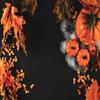 10x6.5ft Harvest Pumpkin Halloween Photography Backdrops Autumn Background for Portrait view 2