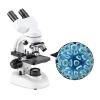 LJZLJZ 6000X-20000X Biological Microscope, Optical Binocular Microscope, with Wide-Field 10X and 50X Eyepieces, Student Cell Experiment, with Storage Bag,20000X view 1