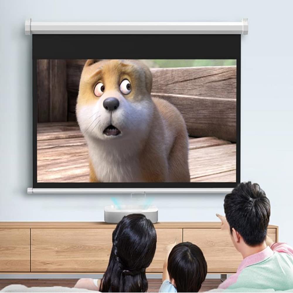 LENG Retractable Projector Screen Manual Pull Down Projection Screen 60 Inch HD Screen Wall/Ceiling Mounted Movie Screen Outdoor with Auto-Locking (Size : 60inch 4:3)