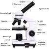 Lab Microscope Slides 40X-1600X Zoom Monocular Biological Microscope Eyepieces Microscope Parts view 4