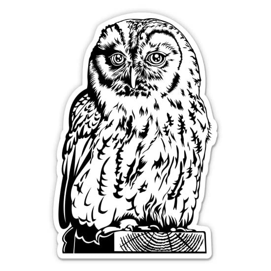 Owl Black and White Sticker - 3" Laptop Sticker - Waterproof Vinyl for Car, Phone, Water Bottle - Nature Decal