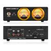 Douk Audio VU22 Dual Analog VU Meter Display DB Panel MIC+LINE Sound Level Meter (Black) view 3