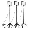 Andoer 3 Pack USB LED Video Light Kit Photography Light 3200K-5500K 120pcs Beads 14-Level Dimmable with 148cm/58in Adjustable Height Tripod Stand 5pcs Filters Triple Cold Shoe Mount for Video Live view 1