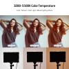 Andoer 3 Pack USB LED Video Light Kit Photography Light 3200K-5500K 120pcs Beads 14-Level Dimmable with 148cm/58in Adjustable Height Tripod Stand 5pcs Filters Triple Cold Shoe Mount for Video Live view 4