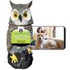 Ugold Indoor Camera Owl, Home Security Camera Owl with Rotatable Head, Night Vision, 2-Way Audio, Works with Phone, Decoration for Home view 1