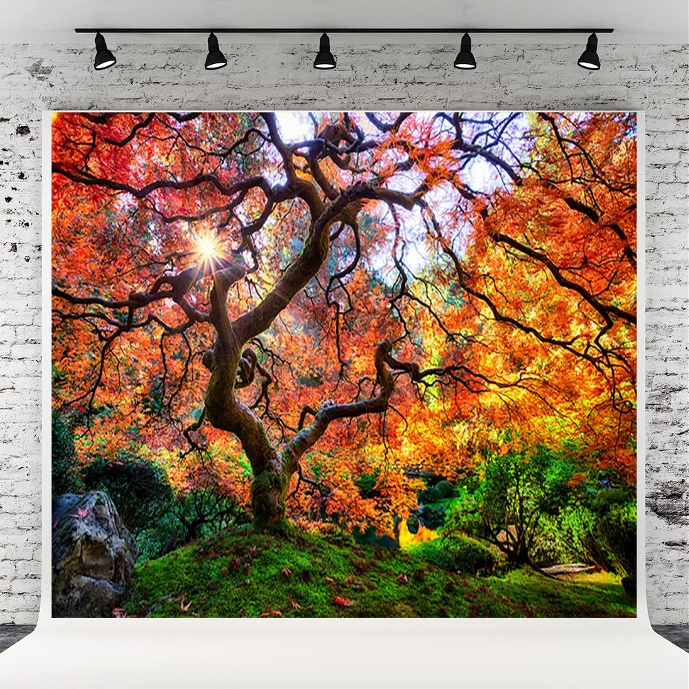 10x6.5ft Autumn Forest Photography Background Romantic Maple Leaf Old Trees Natural Scenery Decor Banner Portrait Photo Shoot Props