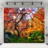 10x6.5ft Autumn Forest Photography Background Romantic Maple Leaf Old Trees Natural Scenery Decor Banner Portrait Photo Shoot Props view 1