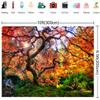 10x6.5ft Autumn Forest Photography Background Romantic Maple Leaf Old Trees Natural Scenery Decor Banner Portrait Photo Shoot Props view 3