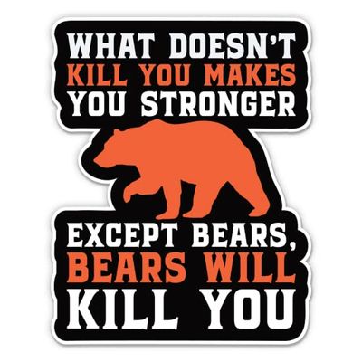 What Doesn't Kill You Makes You Stronger Sticker - Funny Bears Decal - 5 in