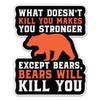 What Doesn't Kill You Makes You Stronger Sticker - Funny Bears Decal - 5 in view 1