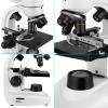 Microscope Accessories Kit Optical Electron Binocular Microscope High-Definition Eyepiece,1200 Times Microscope Slides (Color : SV605-SV189) view 2