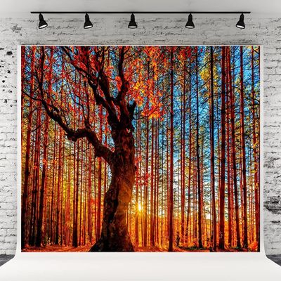 10x6.5ft Autumn Outdoor Forest Hundred Year Old Tree Photography Background Old Trees Natural Scenery Decor Banner Portrait Photo Shoot Props