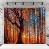 10x6.5ft Autumn Outdoor Forest Hundred Year Old Tree Photography Background Old Trees Natural Scenery Decor Banner Portrait Photo Shoot Props view 1