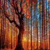 10x6.5ft Autumn Outdoor Forest Hundred Year Old Tree Photography Background Old Trees Natural Scenery Decor Banner Portrait Photo Shoot Props view 2