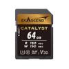 Exascend 64 GB / 128 GB / 256 GB Catalyst SD UHS-I Card, C10, U3, V30, up to 180MB/s, Compatible with Canon, Nikon, Panasonic and Other Cameras (64GB) view 1