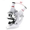 Microscope Kit Microscope Kit Lab LED 100X-400X-1200X Biological Microscope Microscope Lens Adapters (Color : B, Magnification : 100X-400X-1200X) view 2