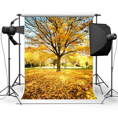 10X20ft Autumn Outdoor Forest Photography Background Yellow Leaves Romantic Atmosphere Banner Decoration Background