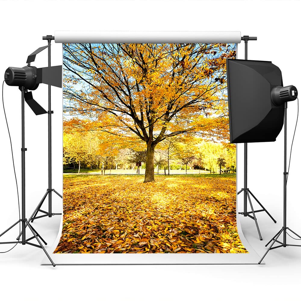 10X20ft Autumn Outdoor Forest Photography Background Yellow Leaves Romantic Atmosphere Banner Decoration Background