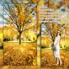 10X20ft Autumn Outdoor Forest Photography Background Yellow Leaves Romantic Atmosphere Banner Decoration Background view 4